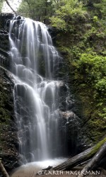 Berry Creek Falls in panoramas photo gallery