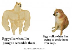 Egg Yolk Joke in Memes photo gallery