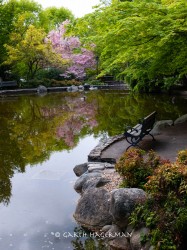 Lithia Park in lakes and ponds photo gallery
