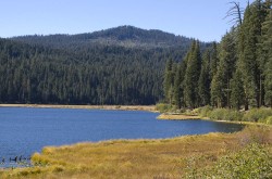 Willow Lake in lakes and ponds photo gallery