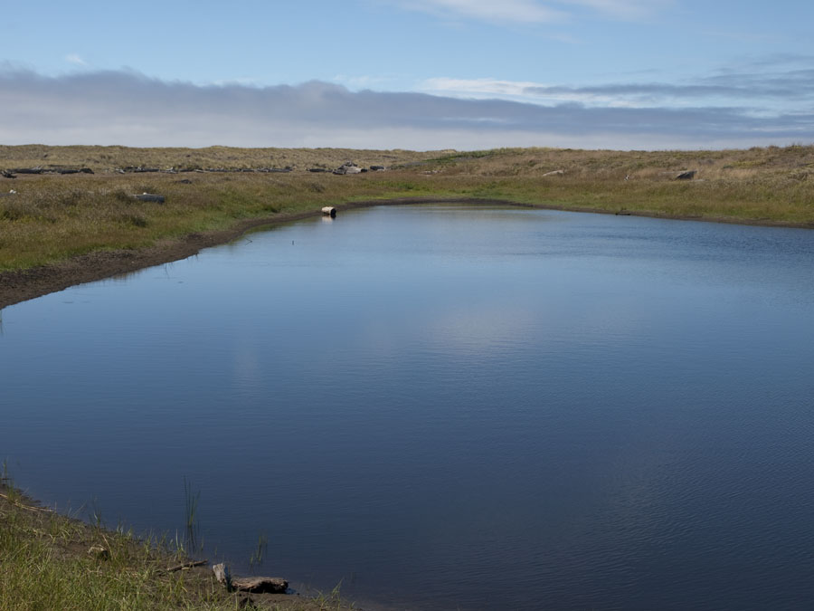 Pond in the Dunes in  photo gallery