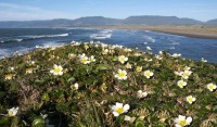 Mouth of the Garcia in Southern Mendocino Coast photo gallery