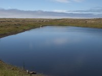 Pond in the Dunes in Southern Mendocino Coast photo gallery