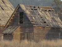 Spring Ranch Barn in neglect and decay photo gallery