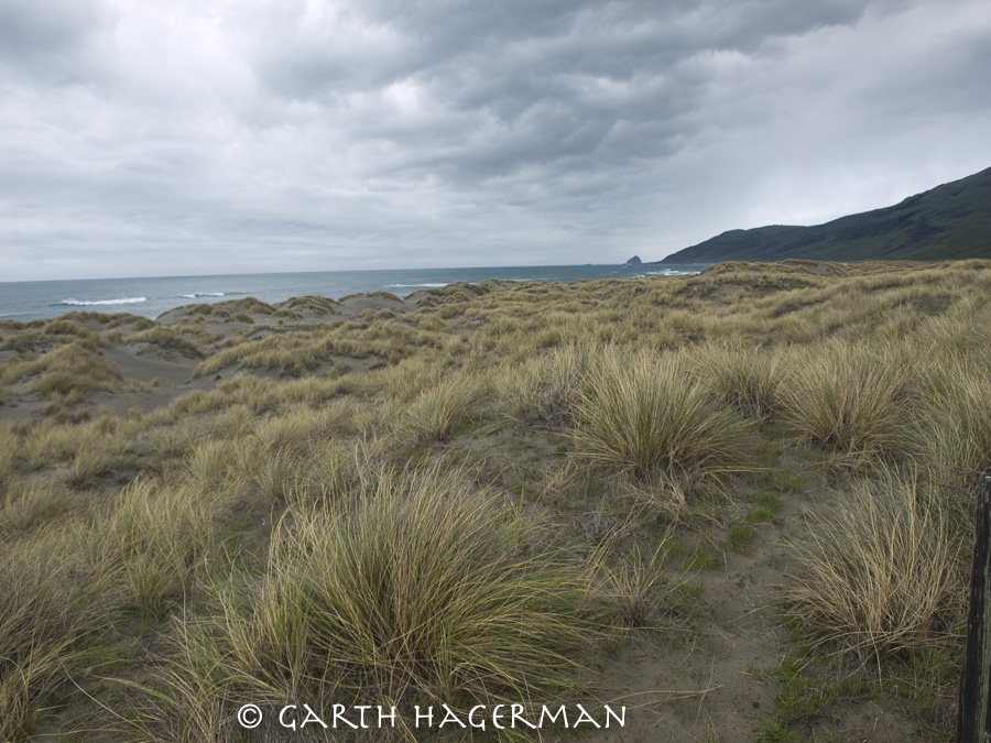 McNutt Gulch Beachgrass on Garth Hagerman Photo/Graphics