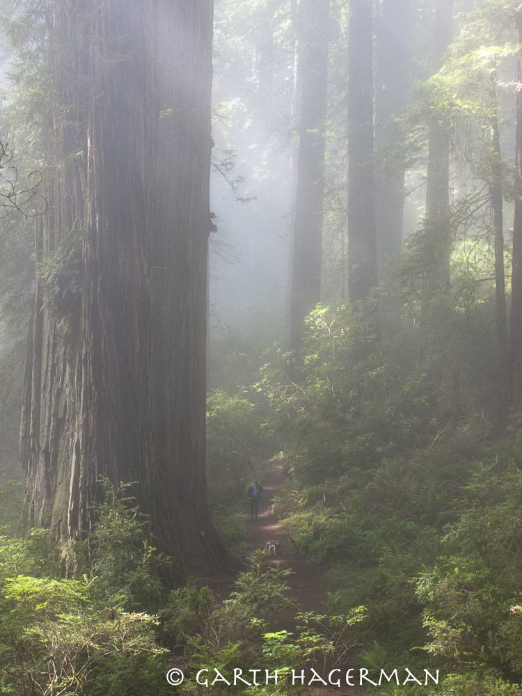 Top of Damnation in Redwood National and State Parks photo gallery