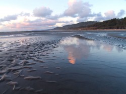 Kalaloch Reflections in sunset photo gallery