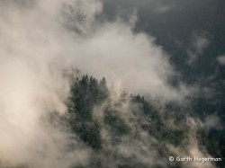 Late Spring Showers in fog photo gallery