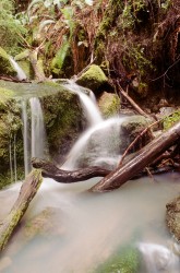 Splashy Cascade in long exposure photo gallery