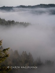 Tidal Fog in fog photo gallery