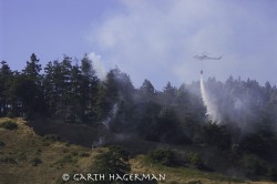 Wildfire in Lost Coast photo gallery