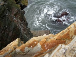 Yin Yang Wave in Southern Mendocino Coast photo gallery